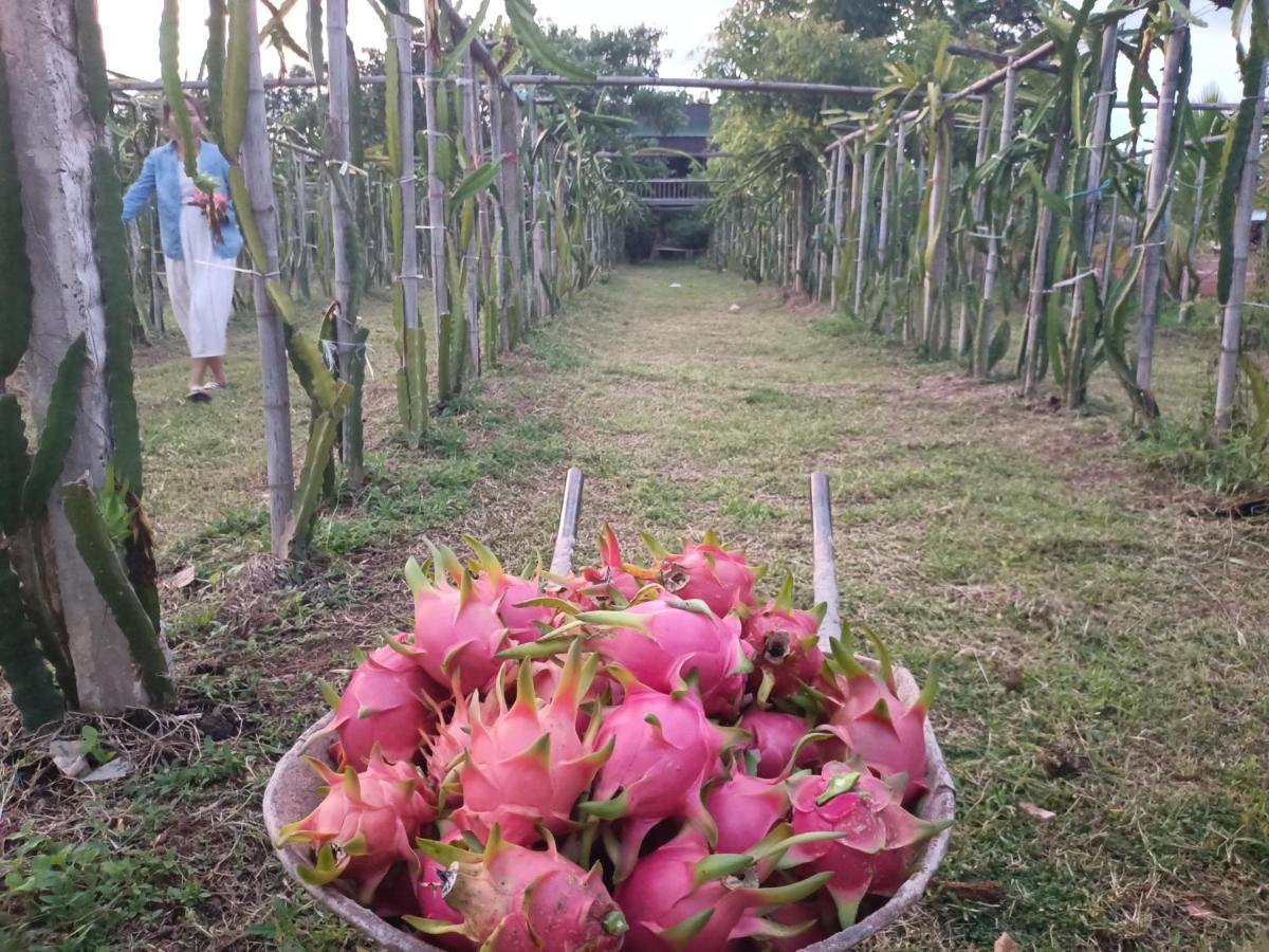 Vongkham Eco Resort 万象 外观 照片